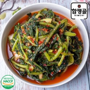  함평골김치 감칠맛이 풍부한 전라도 열무김치 3kg [1개]