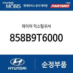 제네시스 현대모비스 파이어 익스팅귀셔 858B9T6000 GV80 더뉴 싼타페 팰리세이드 더 뉴 팰리세이드 싼타페