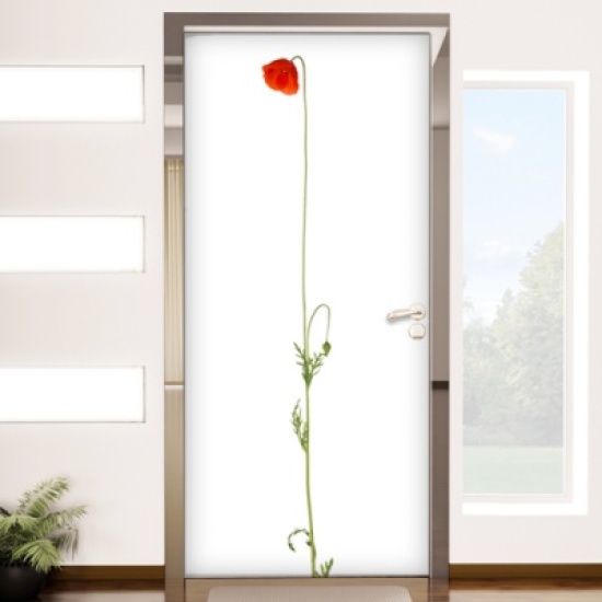 �ٹ� �������Ѽ��� ��Ʈ�� (cc085)