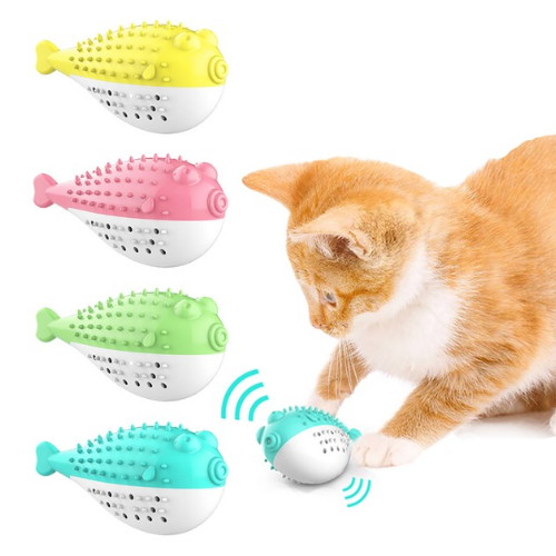 써티이얼즈 고양이 셀프칫솔 물고기 장난감_이미지