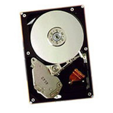 Seagate 146GB ġŸ10K.6 (SCSI/10K/80p)