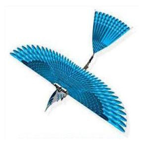  고무동력기 새처럼