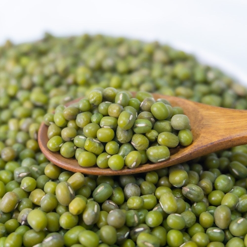 힘찬농부오달봉 수입 녹두 통녹두 1개 5kg_이미지