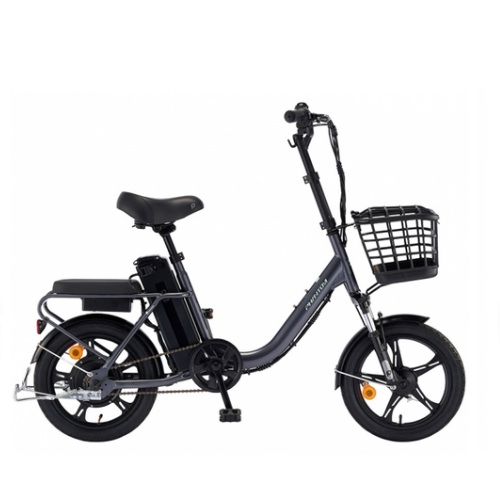 ��õ�������� ���� ����� DUAL (2026����)