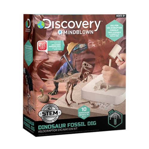 공룡 화석 캐기 3D 벨로시랩터