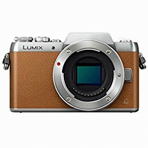 DMC-GF8 바디