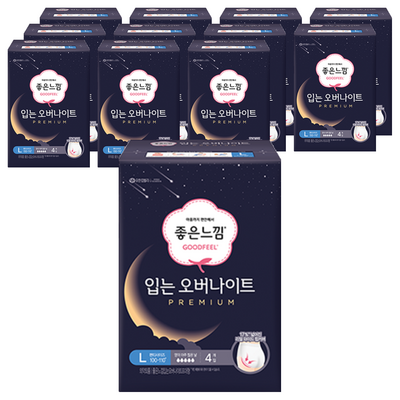 좋은느낌 입는 오버나이트 프리미엄 대형 4개 (12팩(48개))_이미지