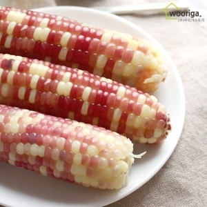 ��ǰ �� �̹���