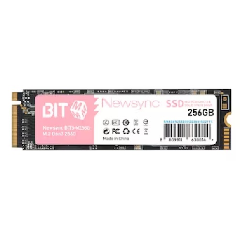 비트엠 Newsync BITS M.2 NVMe (256GB)