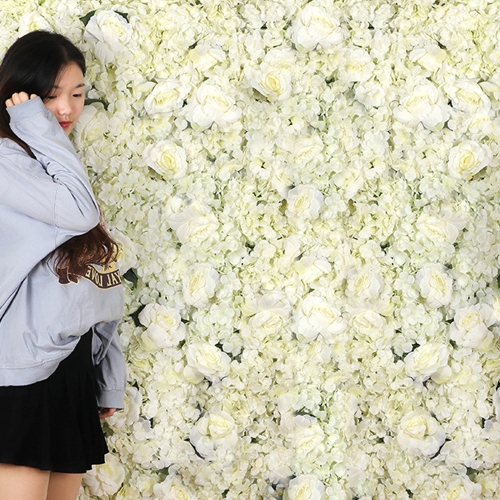 Ʈ�� �ö���� ��ȭ �ɺ� ������ ��ȭ�����