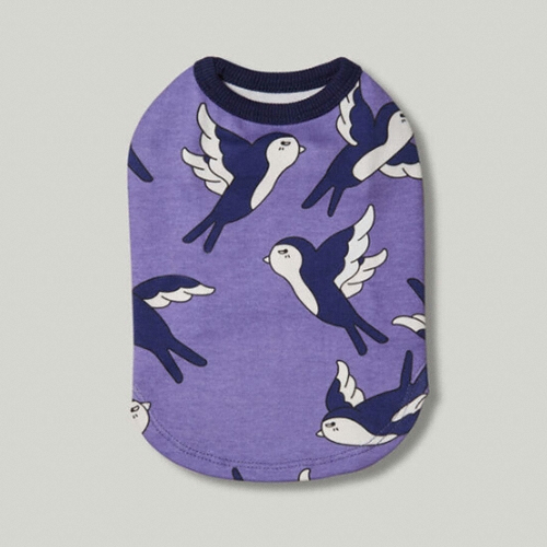 �غ���ũ ��Ű ���зο� ����