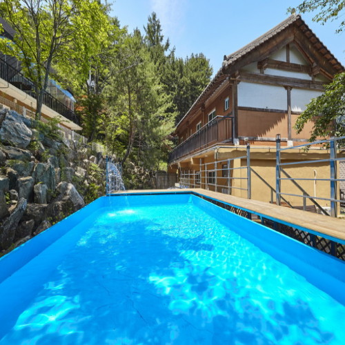 �԰��� ��︲ ��� (���)