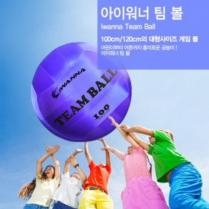  아이워너 팀볼 공 킨볼게임 학교체육