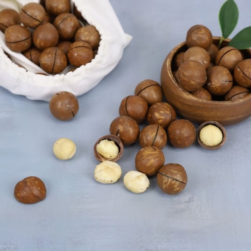 너트리 까먹는 껍질 통 마카다미아 1kg (1개)