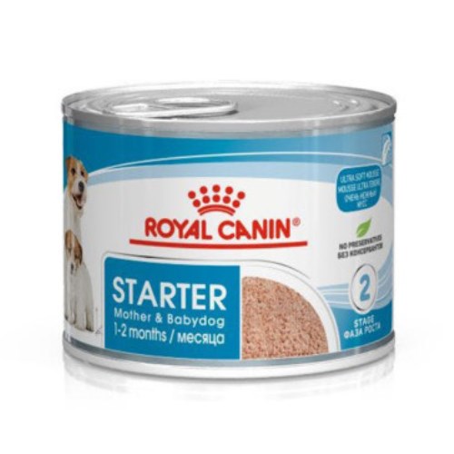 �ѱ����� �ξ�ĳ�� �� ��Ÿ�� ���� �� ���̺� ��Ʈ�� ����Ʈ ���� ĵ 195g