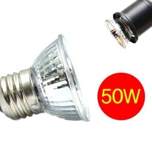 리글라스 UVA UVB 할로겐램프 50W_이미지
