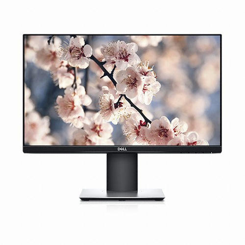 DELL P2219H (중고)