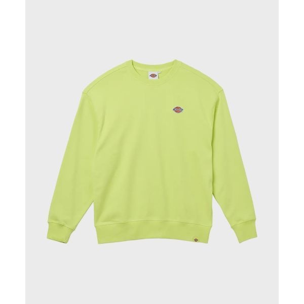 ��Ű�� ���� ǰ ����ġ �׸� �������� ���� �ڼ� �ΰ� ũ��� Daiquiri Green 200246