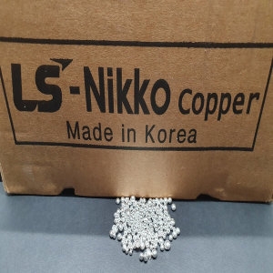 LSMnM 은 그래뉼 10000g (1개)