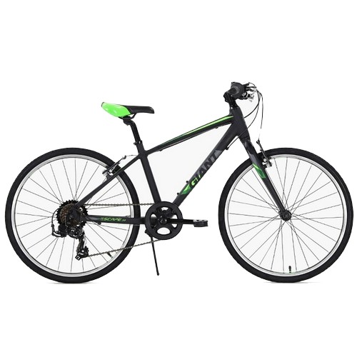 ���̾�Ʈ ���������� JR 24 (2019����)
