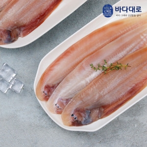 바다대로 신선하고 맛있는 군산 박대 5미