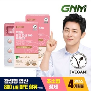 GNM자연의품격 액티브 활성 엽산 800 비타민B 60정 (2개)