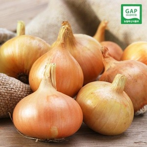 속이꽉찬 무안 햇 양파 중 5kg