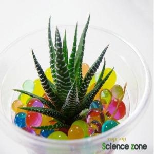 사이언스119 아쿠아테라리움/5인용/JS-21300/체험과학