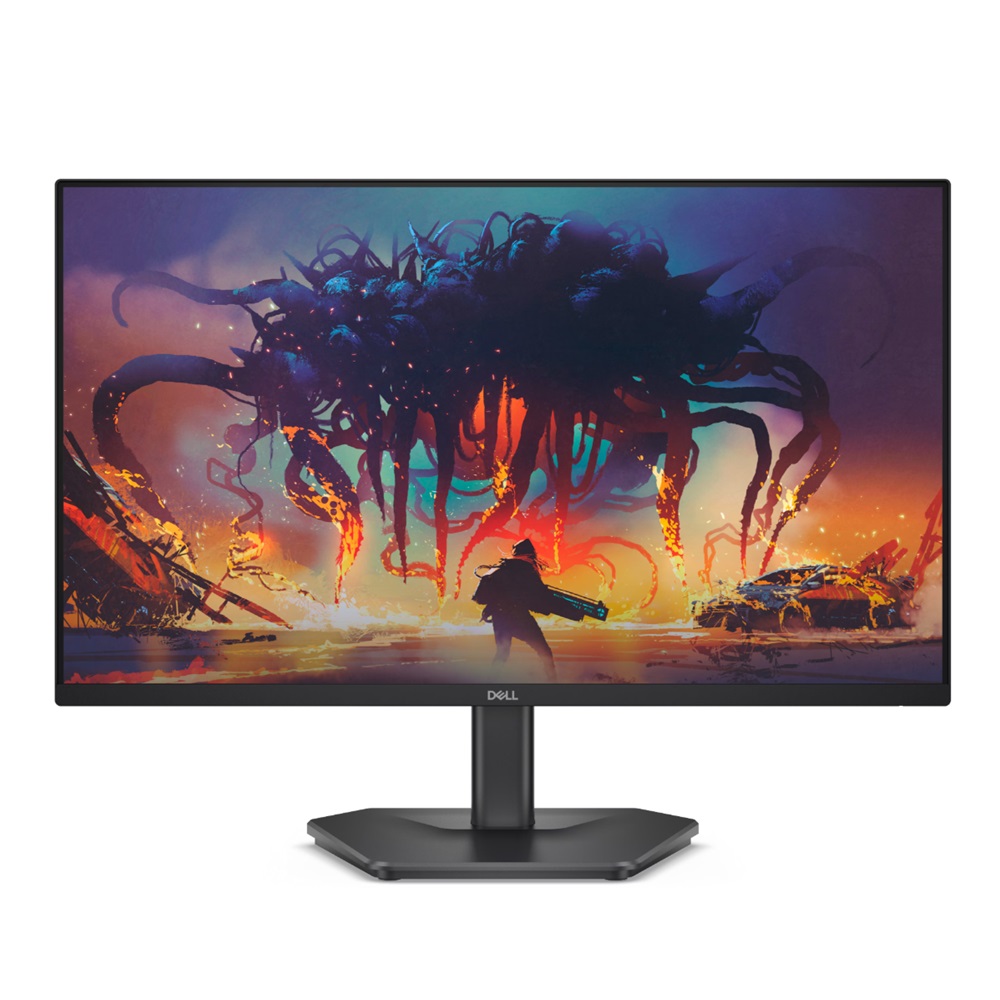 DELL SE2425HG