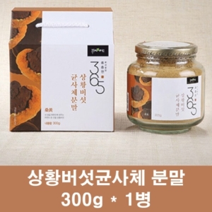 힐링 상황버섯 추출분말 가루 차 베타글루칸 목질진흙버섯