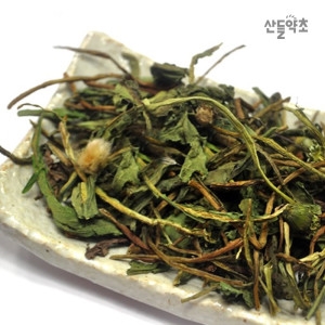 국산 민들레 300g 포공영