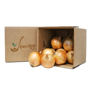 영흥농산영농조합 무안 황토 양파 소 5kg (1개)_이미지