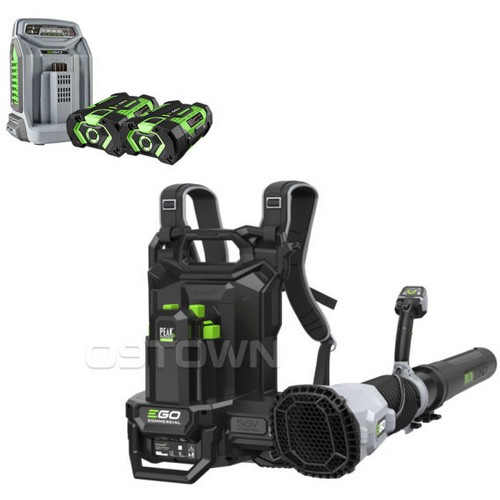 이고파워 LBP8000E (2.5Ah, 배터리 2개)