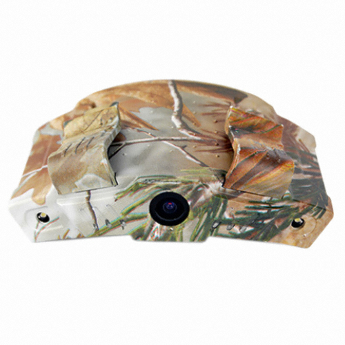 ��ǰ �� �̹���