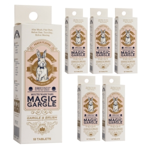 선진바이오 매직가글 고체치약 피치 18정