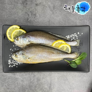 세동상사 손질 부세조기 1마리