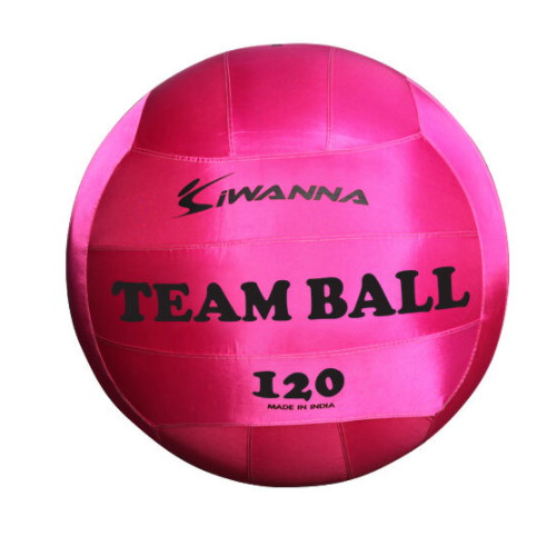 코리아스포츠 아이워너 아이워너 팀볼 120cm 핑크