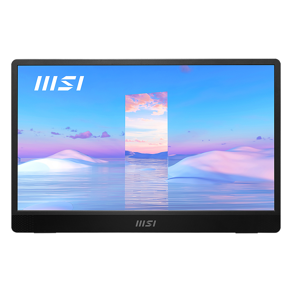 MSI MP161 아이에르고 포터블