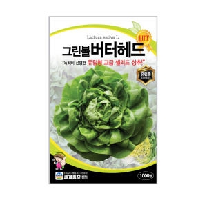 세계종묘 웨이브그린볼버터헤드상추 1000립 유럽종