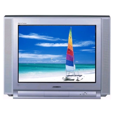 삼성전자 명품 CT-29K6