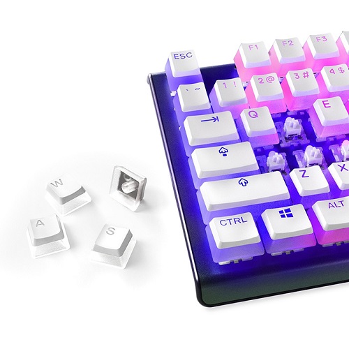 ��ƿ�ø��� PrismCAPS Ǫ�� PBT Űĸ ����