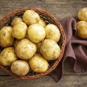 익산원예농업협동조합 22년 햇 수미감자 중대 3kg (1개)_이미지