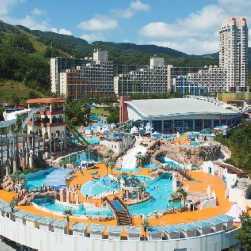 ���ִн���â ����ĳ�Ͼ� �����̿�� (����)