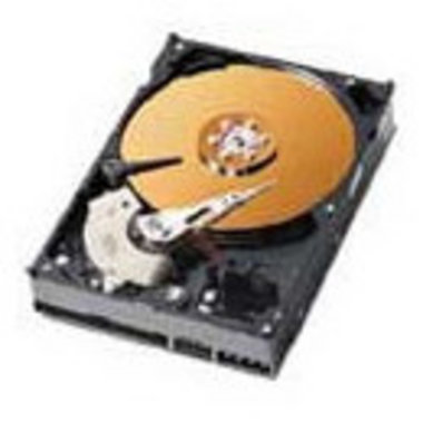 Western Digital WD WD 80GB 7200rpm WD800LB 그레이_이미지