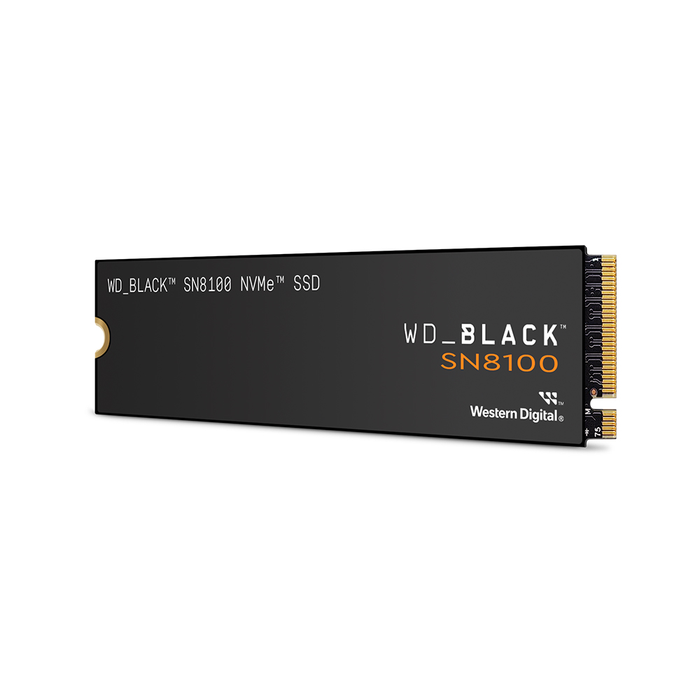 Western Digital WD BLACK SN8100 M.2 NVMe (4TB)_이미지