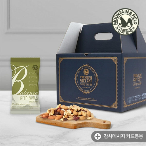 한줌견과 원데이 발란스 그린 선물세트 20g 100개입