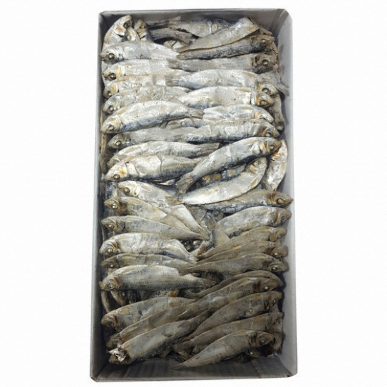 수 디포리 1.5kg