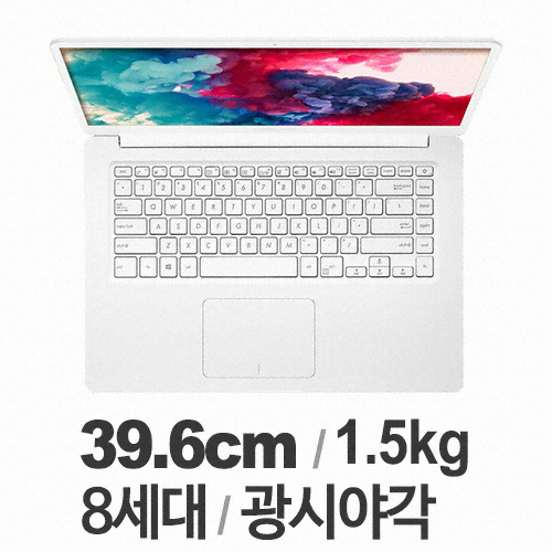 ASUS 비보북 X510UA-BQ491T (SSD 256GB)