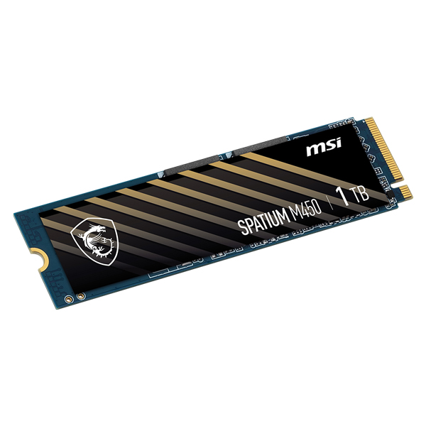 MSI SPATIUM M450 V1 M.2 NVMe (1TB)_이미지