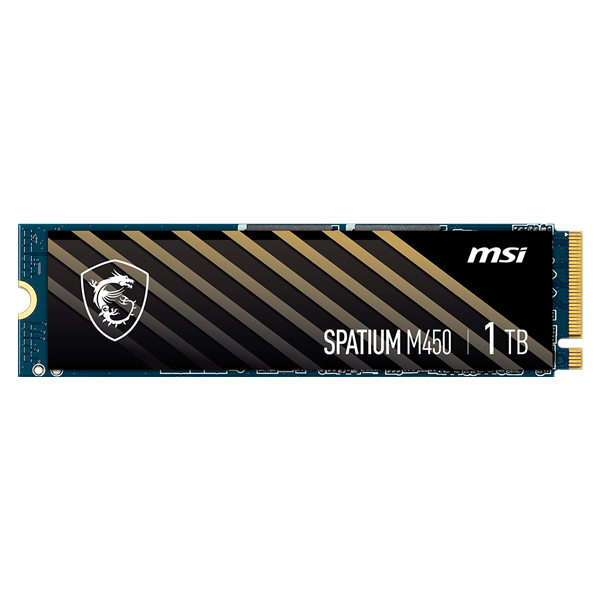 MSI SPATIUM M450 V1 M.2 NVMe